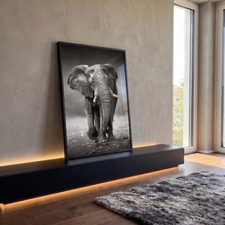 Quadro Decorativo Majestade em Preto e Branco: Elefante em ambiente decorado - quadros decorativos para sala