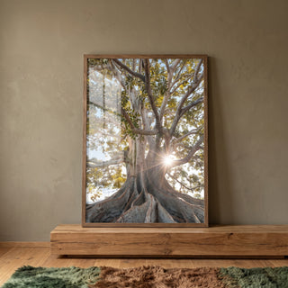 Quadro Decorativo Árvore Radiante ao Sol - Toque de Calor em ambiente decorado - quadros decorativos para sala