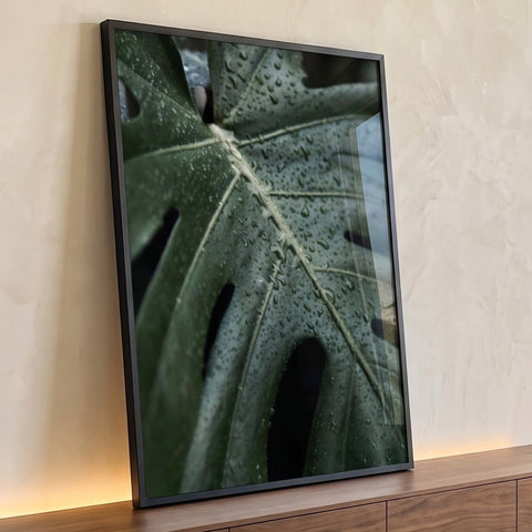 Quadro Decorativo Folha Verde com Orvalho Inspire-se