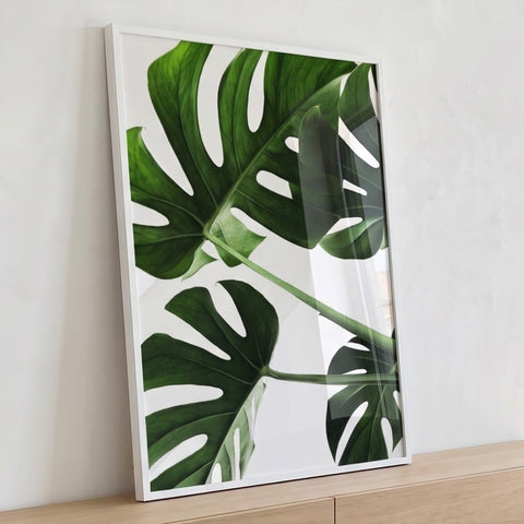 Quadro Decorativo Monstera Elegância Verde Exclusiva