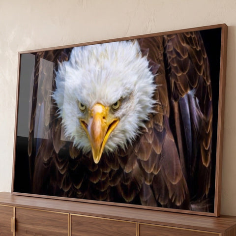 Quadro Decorativo Majestade Alada Águia Poderosa