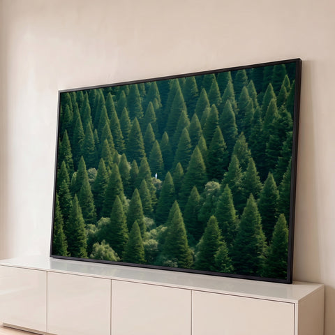 Vista aérea de floresta densa de pinheiros verdes com pequena figura de branco ao centro, quadro decorativo