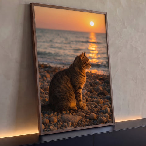 Gato tabby sentado em praia de pedras olhando o mar sob o sol poente alaranjado, quadro decorativo