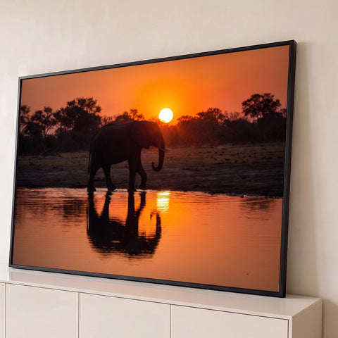 Elefante em silhueta caminhando à beira do lago com reflexo ao pôr do sol laranja, quadro decorativo
