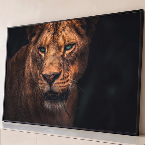 Leoa em close com olhos verdes intensos, pelagem marrom e capim na boca sobre fundo escuro, quadro decorativo
