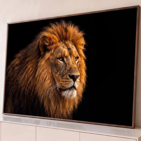 Leão majestoso de perfil com juba acobreada e olhos âmbar sobre fundo preto, quadro decorativo