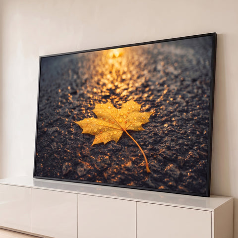 Folha de bordo amarela com gotas de chuva sobre asfalto molhado na luz dourada do entardecer, quadro decorativo