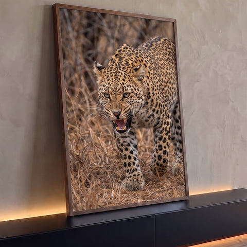 Quadro Decorativo Grande Leopardo Rosnando para Sala Dourado | quadros decorativos para sala | leopardo rosnando de frente com pelagem dourada manchada de preto | Porao dos Quadros