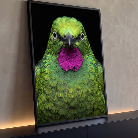 Pássaro verde de frente com penas iridescentes e garganta magenta em fundo preto, quadro decorativo