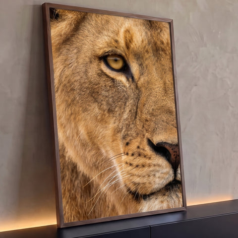 Quadro Decorativo Grande Olho de Leão para Sala Dourado | quadros decorativos para sala | close extremo do rosto de um leão com olho âmbar e bigodes brancos | Porao dos Quadros
