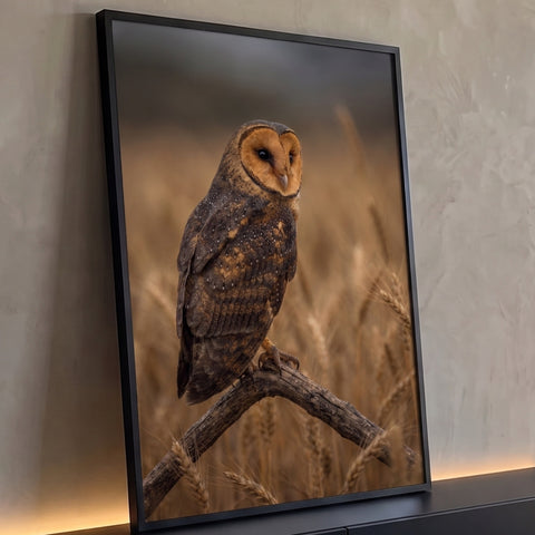 Coruja das torres de penas marrons pousada em galho seco entre espigas de trigo, quadro decorativo