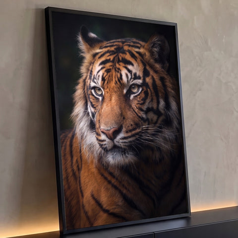 Rosto de tigre em close realista com olhos âmbar e listras pretas sobre fundo escuro, quadro decorativo