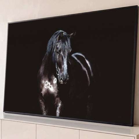 Cavalo negro com cabeçada de couro, luz lateral e brilho no pelo sobre fundo preto, quadro decorativo