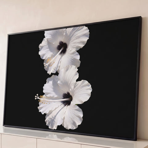 Dois hibiscos brancos com miolo escuro e estames dourados sobre fundo preto, quadro decorativo