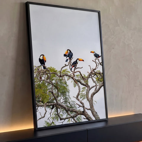 Quatro tucanos de bico laranja pousados em galhos de árvore com folhagem verde e céu claro, quadro decorativo