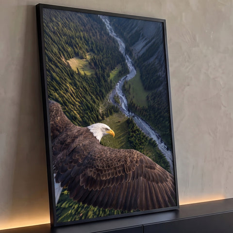 Águia americana de asas abertas sobrevoando floresta de pinheiros e rio no vale, quadro decorativo