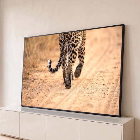 Fotografia de leopardo de costas na estrada de terra, cauda e patas em destaque, quadro decorativo