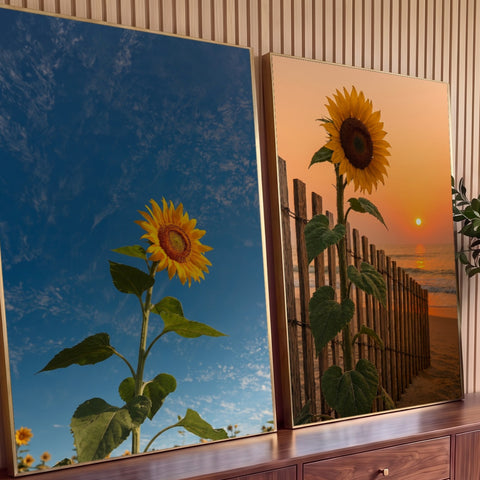 Quadro Decorativo Kit 2 Telas Girassol no Céu para Sala Azul | quadros decorativos para sala | girassol dividido entre céu azul vivo e pôr do sol laranja na praia | Porao dos Quadros