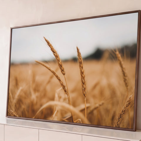 Espigas de trigo douradas em close sobre campo desfocado e céu claro, fotografia quadro decorativo
