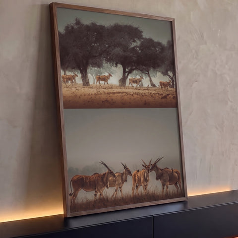 Manada de antílopes eland caminhando e reunida na savana com névoa e árvores, quadro decorativo