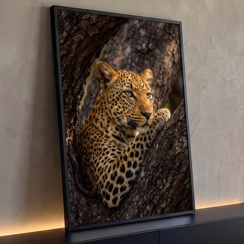 Leopardo de olhos claros descansando entre galhos de árvore, fotografia de vida selvagem, quadro decorativo