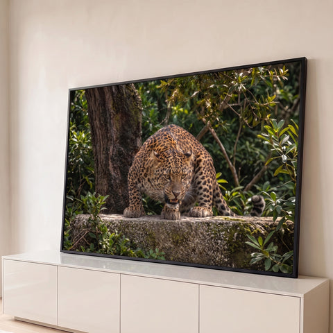 Leopardo agachado sobre rocha, olhar intenso e boca entreaberta na floresta verde, quadro decorativo