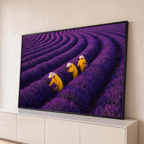 Campo de lavanda roxa com fileiras curvas e colhedores de capa amarela e chapéu cônico, quadro decorativo