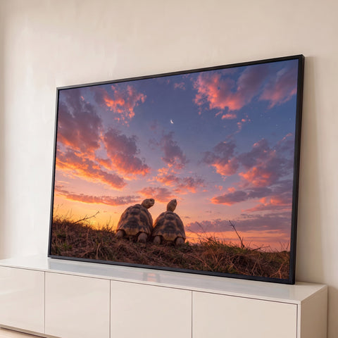Duas tartarugas na grama olhando o céu laranja e rosa do entardecer com lua crescente, quadro decorativo