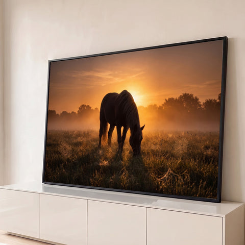 Cavalo pastando em campo com orvalho e teias de aranha ao nascer do sol enevoado, quadro decorativo