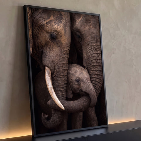 Elefantes adultos envolvendo filhote com as trombas em close sobre fundo escuro, quadro decorativo