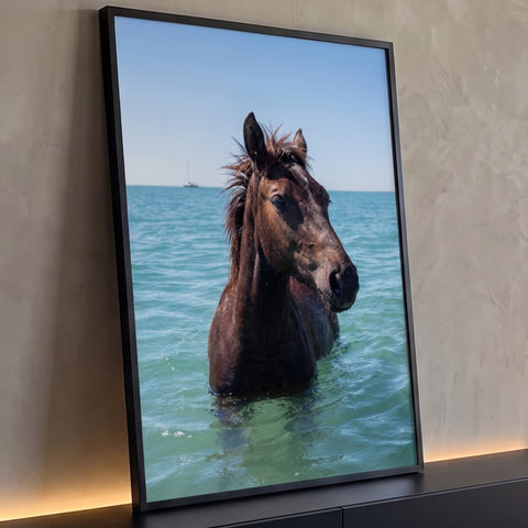 Quadro Decorativo Grande Cavalo Mergulhado para Sala Azul | quadros decorativos para sala | cavalo marrom emergindo do mar turquesa com veleiro ao fundo | Porao dos Quadros