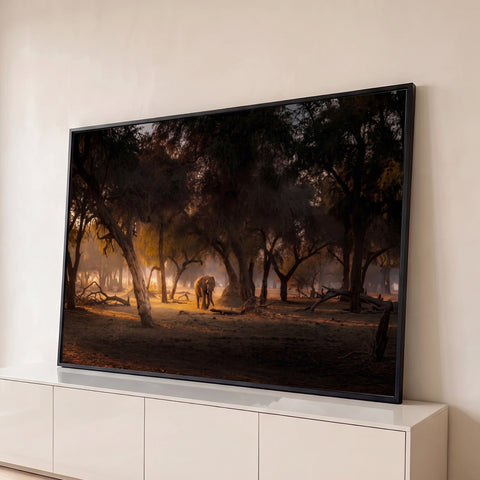 Elefante caminhando entre árvores em um bosque com névoa e luz dourada ao entardecer, quadro decorativo