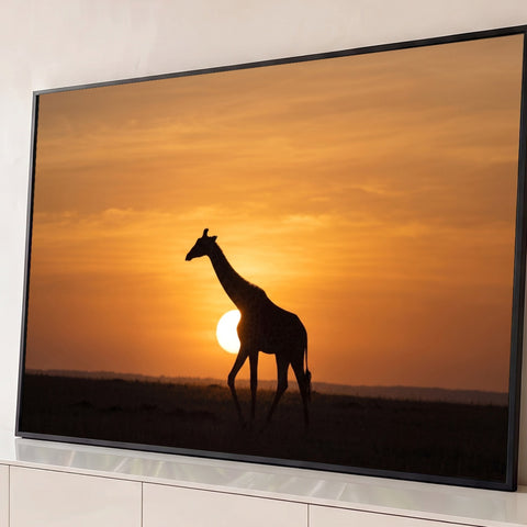Silhueta de girafa caminhando diante do sol poente na savana africana, céu laranja, quadro decorativo