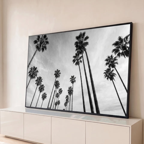 Fotografia preto e branco de palmeiras altas vistas de baixo contra céu nublado, quadro decorativo