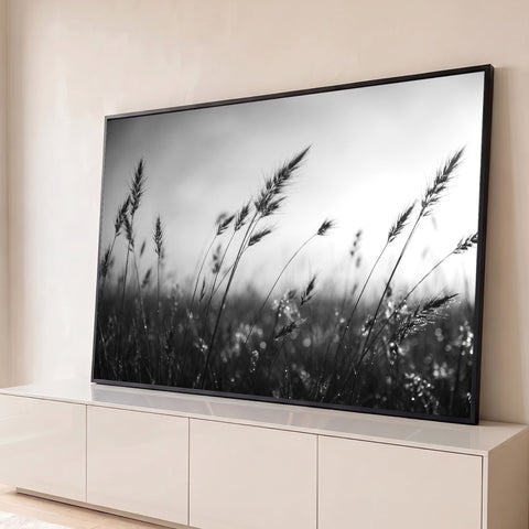Fotografia preto e branco de capim silvestre balançando ao vento com gotas de orvalho, quadro decorativo