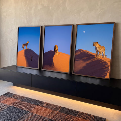 Quadro Decorativo Grande Leão com Felinos para Sala Laranja | quadros decorativos para sala | chita, leão e leopardo em dunas de areia sob céu azul em três painéis | Porao dos Quadros