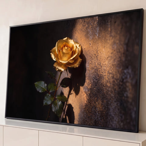 Rosa dourada com gotas de orvalho e folhas verdes sob luz lateral em parede escura, quadro decorativo