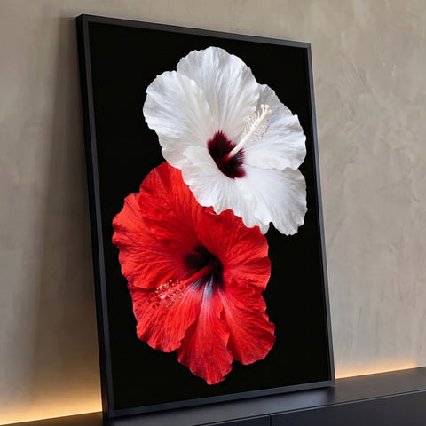 Duas flores de hibisco, branca e vermelha, em close sobre fundo preto, quadro decorativo
