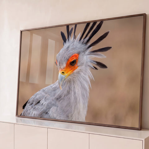 Close de pássaro serpentário com penas cinza, crista preta e rosto laranja em fundo bege, quadro decorativo