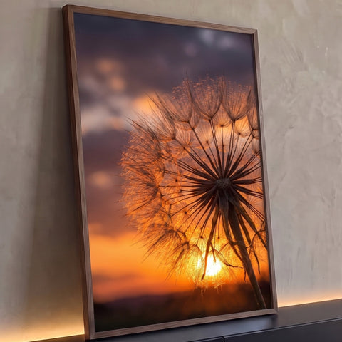 Dente-de-leão em contraluz com sementes iluminadas pelo sol poente e céu laranja, quadro decorativo