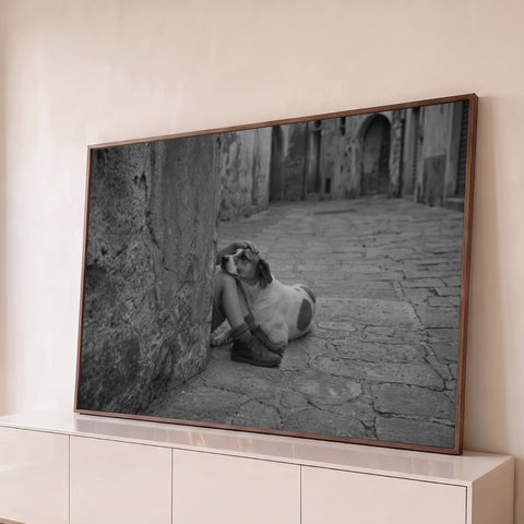 Fotografia preto e branco de cachorro recebendo carinho de criança em beco de pedra, quadro decorativo
