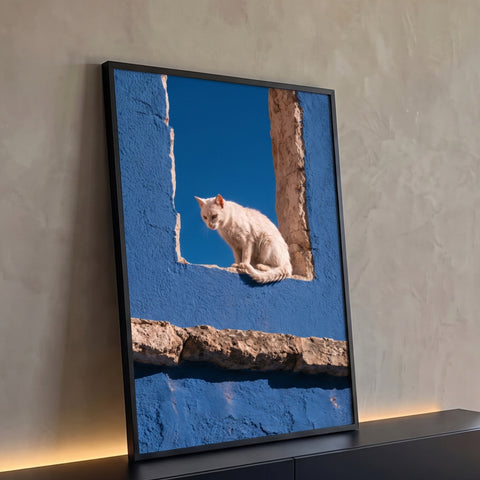Gato branco sentado em abertura de muro azul com pedra rústica e céu azul, quadro decorativo