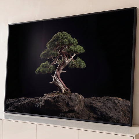 Bonsai de tronco retorcido e copa verde sobre rocha escura com fundo preto iluminado, quadro decorativo