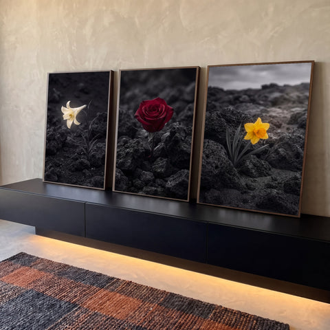 Quadro Decorativo Grande Flores Coloridas para Sala Preto | quadros decorativos para sala | três flores coloridas, lírio, rosa e narciso, em terreno vulcânico preto e branco | Porao dos Quadros