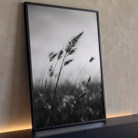Espigas de capim selvagem ao vento com gotas de orvalho em fotografia preto e branco, quadro decorativo