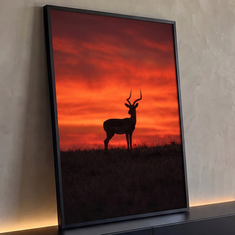 Silhueta de impala com chifres longos na savana sob céu vermelho e laranja ao pôr do sol, quadro decorativo