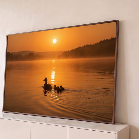 Pata com três patinhos nadando em lago com névoa sob o sol laranja do amanhecer, quadro decorativo