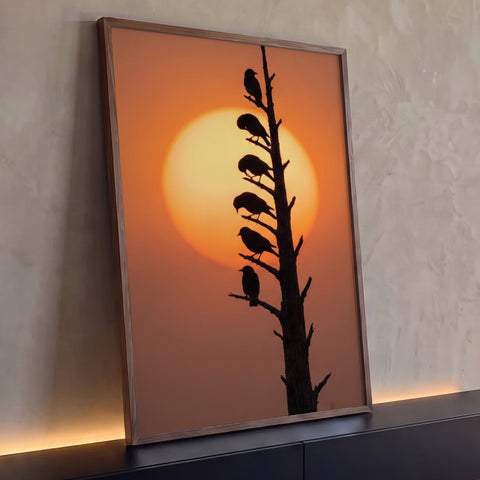 Seis pássaros em silhueta pousados em tronco seco diante de grande sol laranja, quadro decorativo