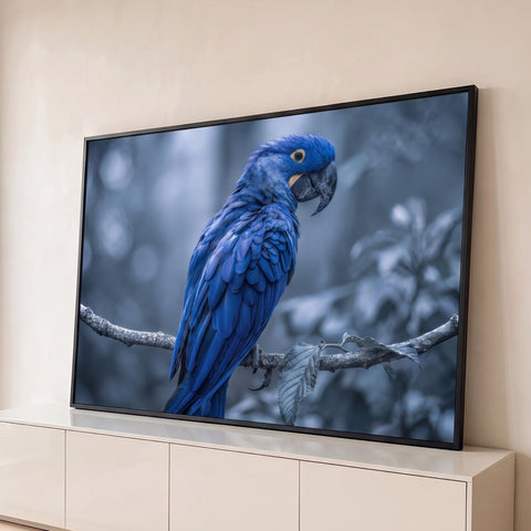 Arara-jacinta azul de perfil pousada em galho com fundo desfocado em tons frios, quadro decorativo