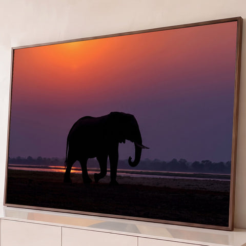 Silhueta de elefante caminhando na savana sob céu roxo e laranja do pôr do sol, quadro decorativo